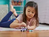 Emma's Mobile Vet Clinic