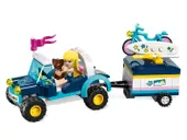 Stephanie's Buggy & Trailer