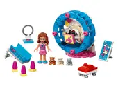 Olivia's Hamster Playground