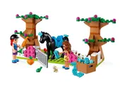 Heartlake City Brick Box