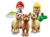 Alpaca Rescue in the Jungle