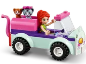 Cat Grooming Car
