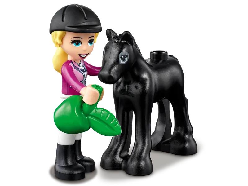 Horse Training and Trailer Horse Training and Trailer