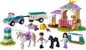 Horse Training and Trailer