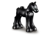 Horse Training and Trailer