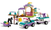 Horse Training and Trailer