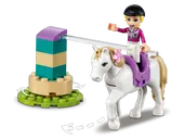 Horse Training and Trailer