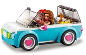 Olivia's Electric Car