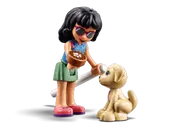 Heartlake City Vet Clinic