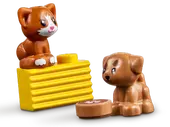 Heartlake City Vet Clinic
