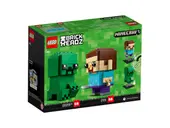 Steve & Creeper
