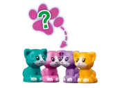 Stephanie's Cat Cube