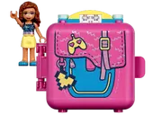 Olivia's Gaming Cube