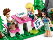 Forest Camper Van and Sailboat