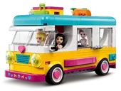 Forest Camper Van and Sailboat