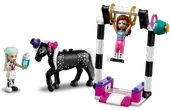 Magical Acrobatics