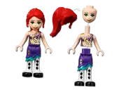 Magical Ferris Wheel and Slide