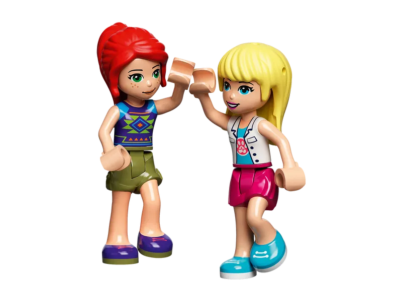 Vet Clinic Rescue Helicopter