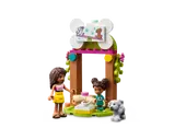 Pet Playground