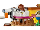 Friendship Tree House