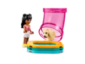 Pet Day-Care Center