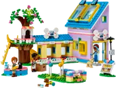 Dog Rescue Center