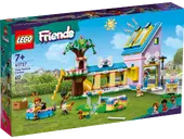 Dog Rescue Center