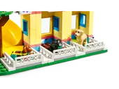 Dog Rescue Center