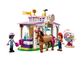 Horse Training