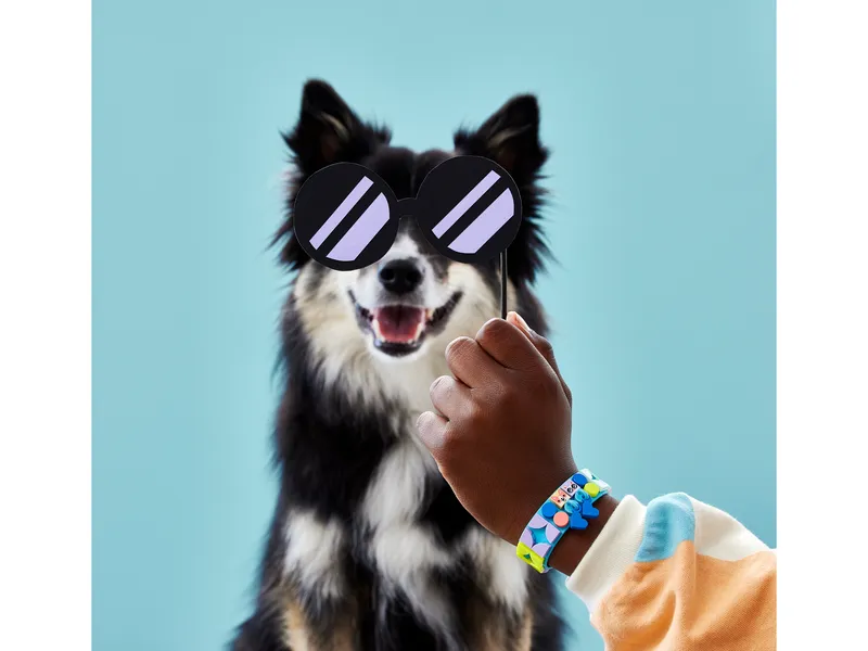 My Pets Bracelet
