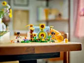 Hamster Playground