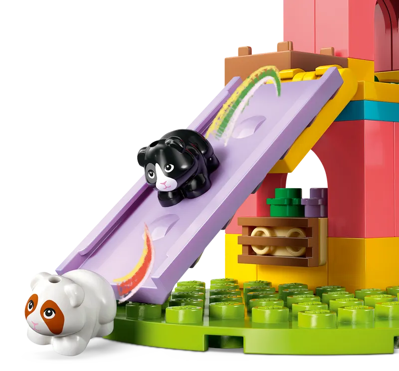 Guinea Pig Playground