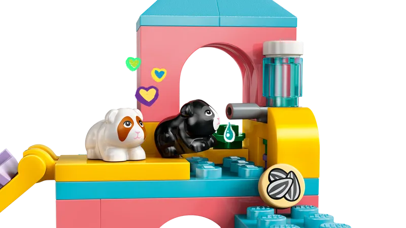 Guinea Pig Playground
