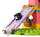 Guinea Pig Playground