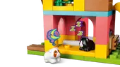 Guinea Pig Playground