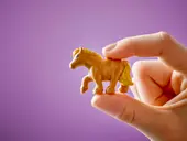 Pony Ranch & Stable