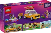 Friendship Road-Trip Travel Car