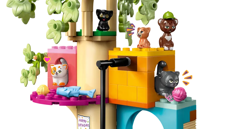 Cat Birthday Party & Tree House
