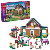 Horse Stable and Riding Academy