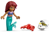Ariel's Treasure Chest