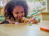 Belle's Storytime Horse Carriage