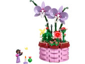 Isabela's Flowerpot