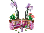 Isabela's Flowerpot