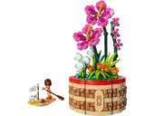 Moana's Flowerpot