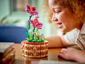 Moana's Flowerpot
