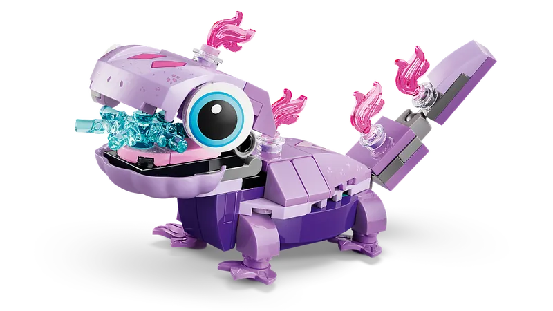 Olaf and Bruni’s Picnic Fun