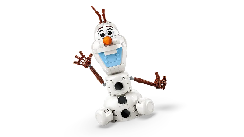 Olaf and Bruni’s Picnic Fun