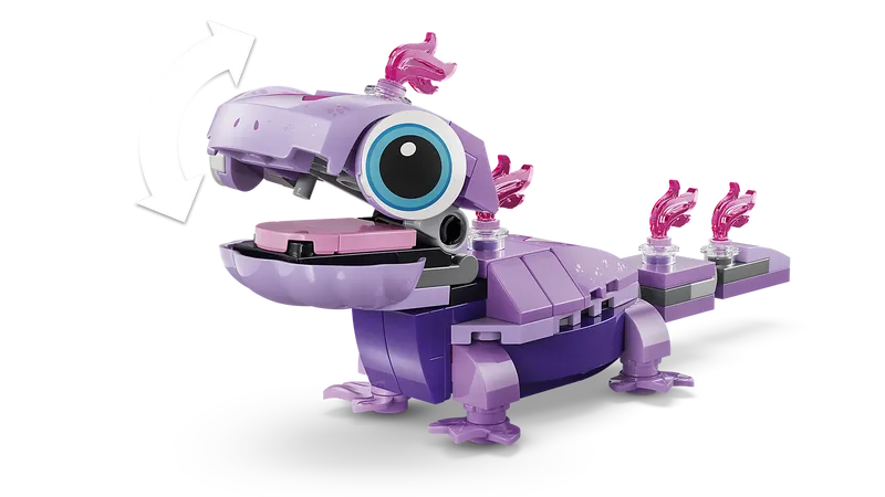 Olaf and Bruni’s Picnic Fun