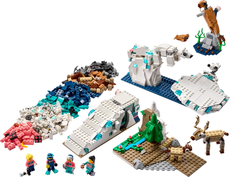 Arctic Animals Science Kit