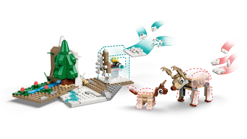 Arctic Animals Science Kit